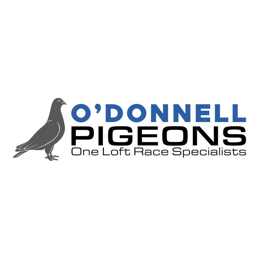 Store: O'Donnell Pigeons