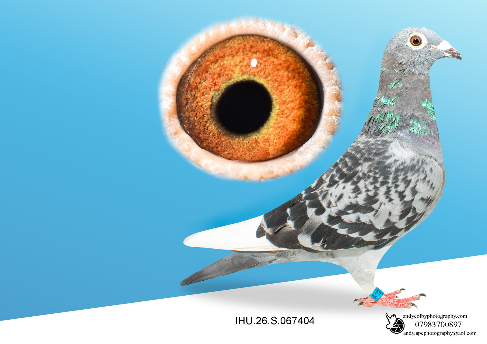 IHU26S067404 CHEQ WF HEN. VAN DEN BULK X MILITARY ROGALA.