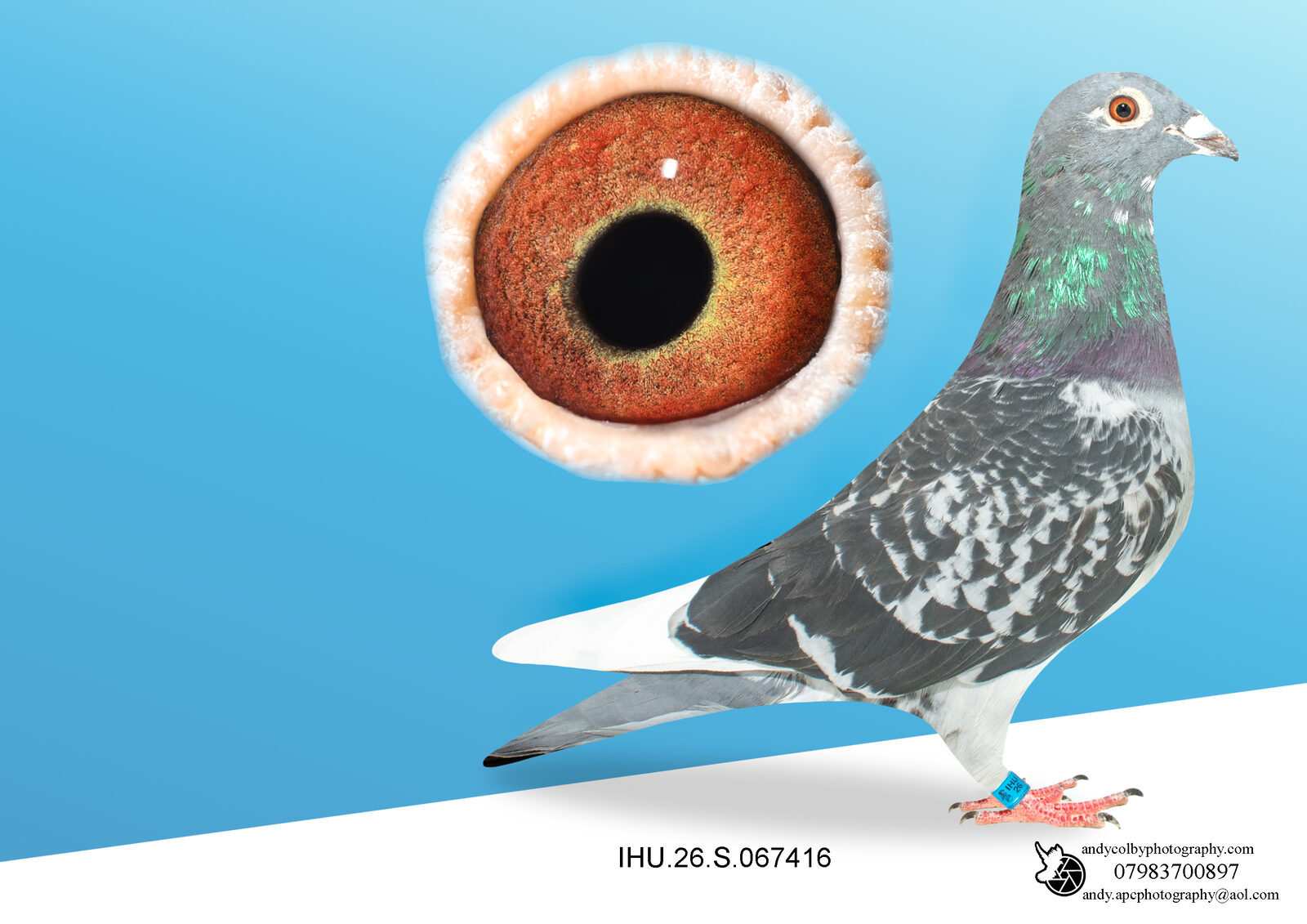 IHU26S067416. CHEQ PD WF HEN. VAN DEN BULK X MILITARY ROGALA
