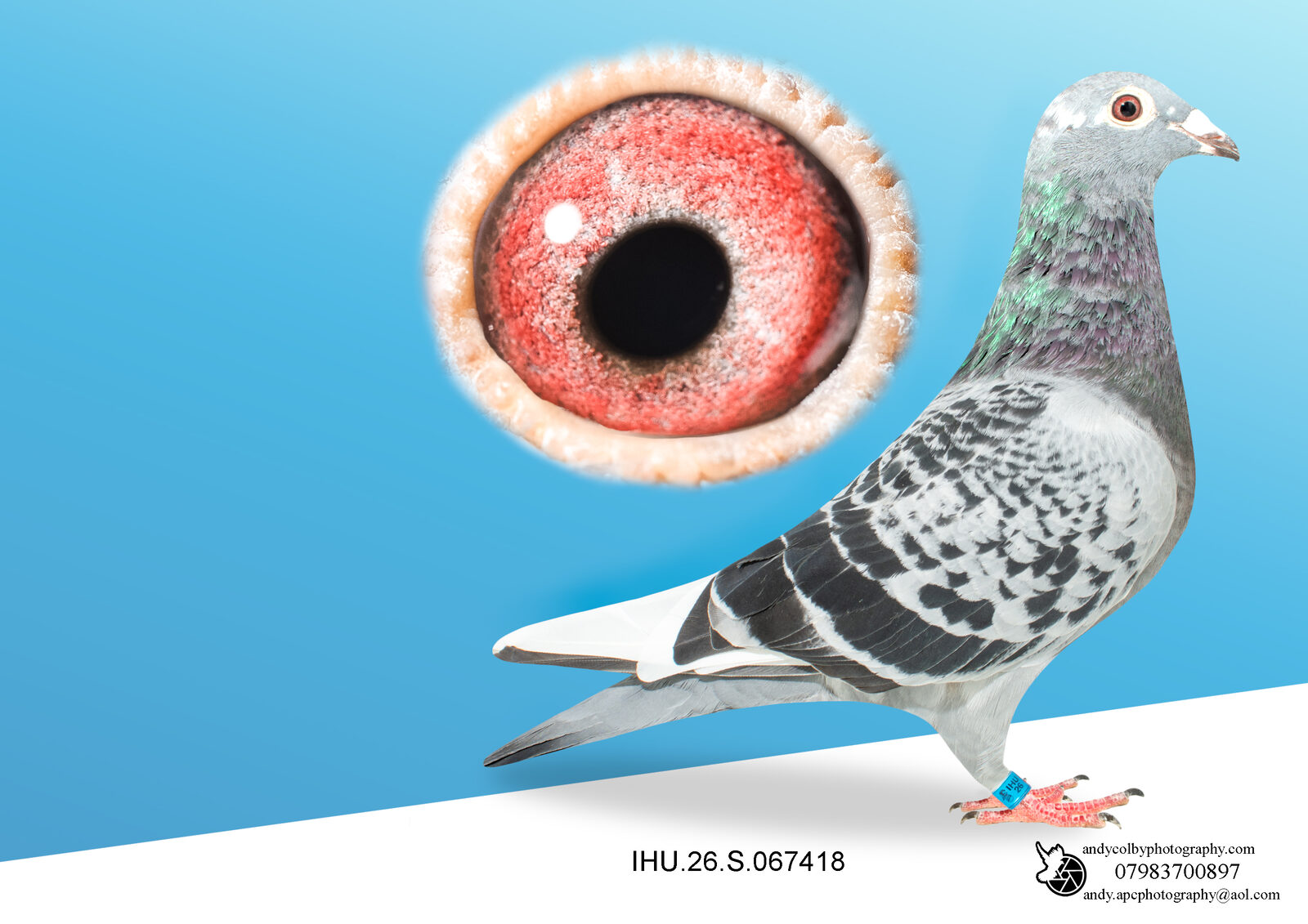 IHU26S067418. CHEQ PD WF. HEN. VAN DEN BULK X MILITARY ROGALA