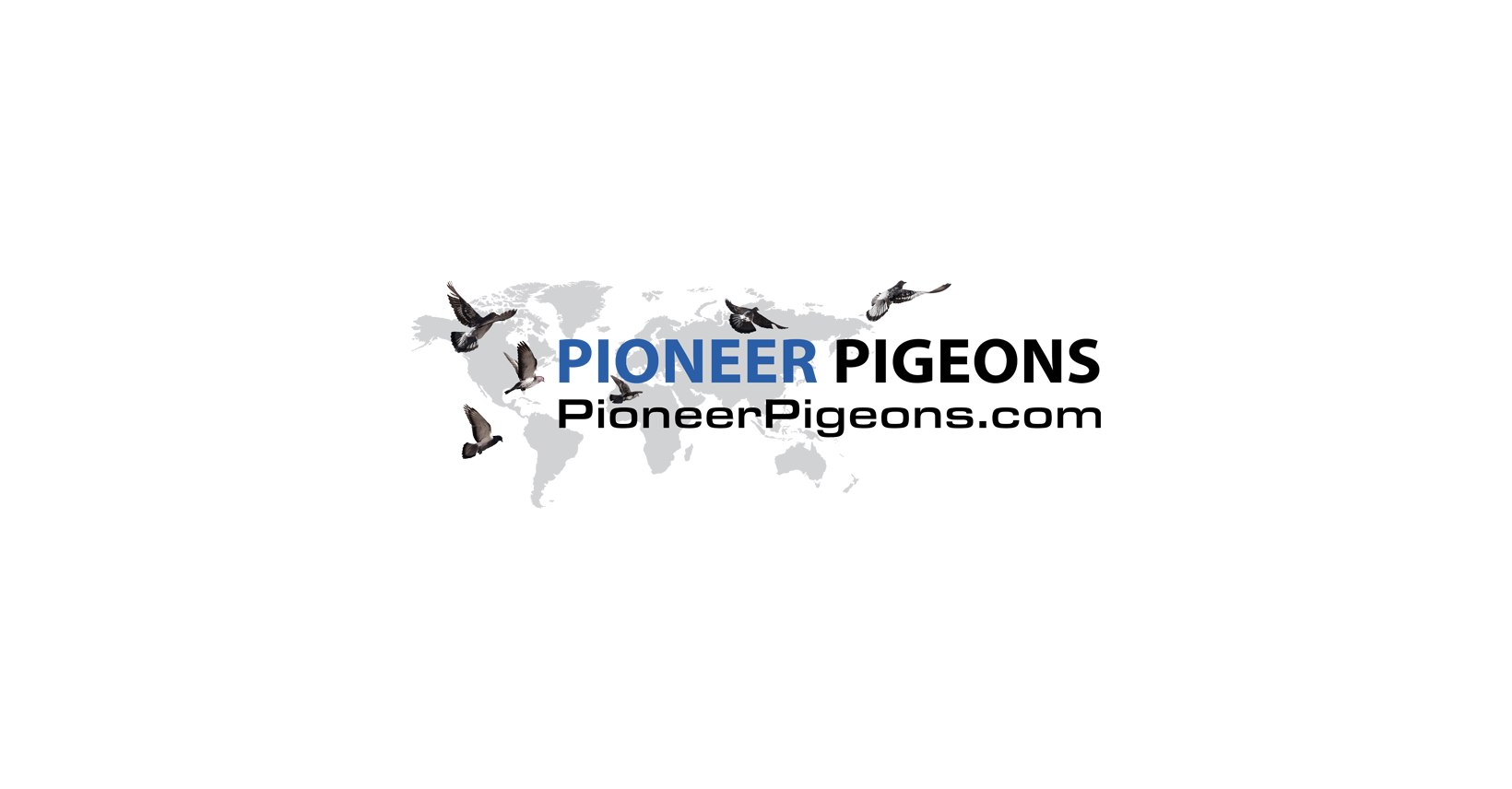 Store: Pioneer Pigeons
