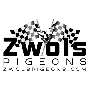 Zwols Pigeons