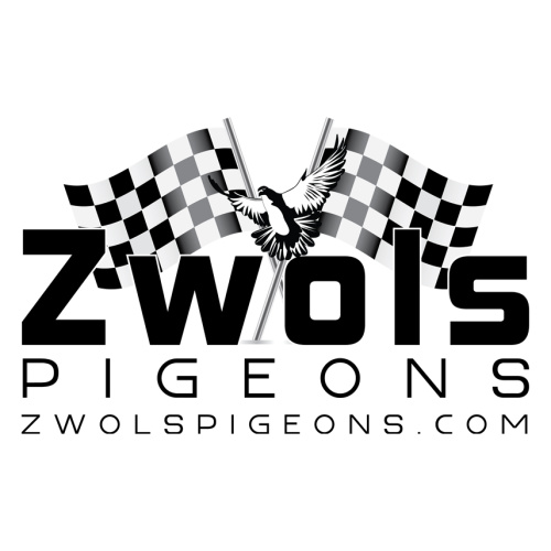 Zwols Pigeons